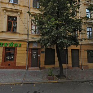 Vulytsia Shyllera, 1, Chernivtsi: photo