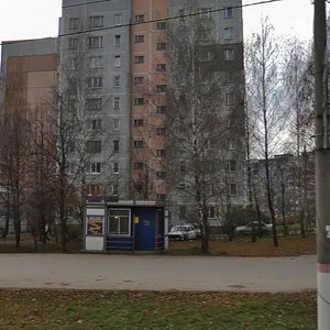 Vil'yamsa Street, 24, Tula: photo