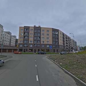 Belinskogo Street, 7В, Petrozavodsk: photo