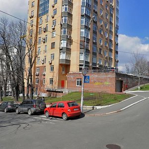 Vasylia Tiutiunnyka Street, 16, Kyiv: photo