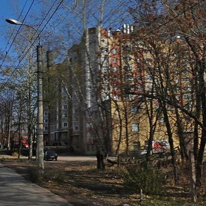 Mervinskaya Street, 31, Ryazan: photo