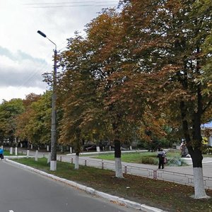 Vulytsia Haharina, 10, : foto