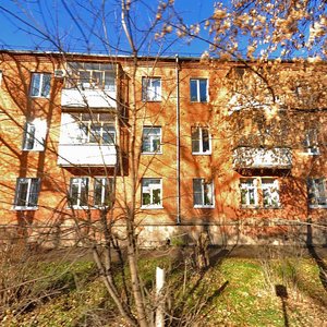 Volkova Street, 17, Tula: photo