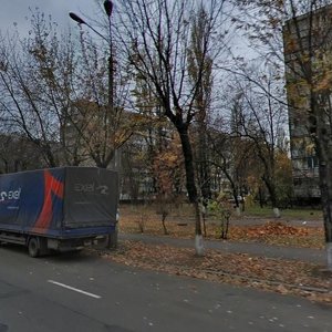 Sholom-Aleikhema Street, 9, Kyiv: photo