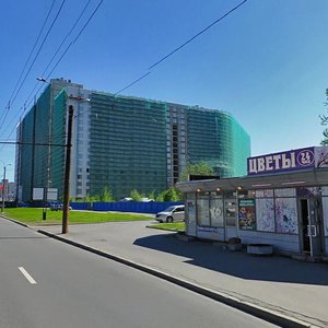 Санкт‑Петербург, Проспект Просвещения, 9Б: фото