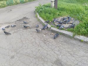 Moskovskoye Highway, 146, Nizhny Novgorod: photo