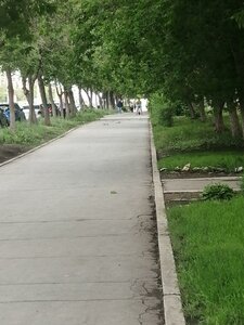 Karla Marksa Avenue, 97, : foto