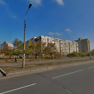 Serzha Lyfaria Street, 4, Kyiv: photo