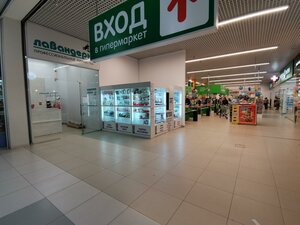 Ulitsa Rozinga, 10, Arkhangelsk: photo