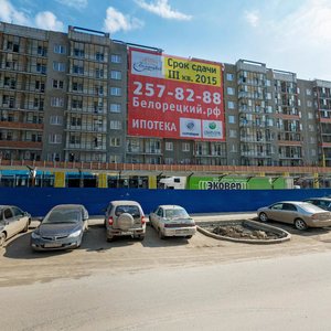 Stepana Razina Street, 107 ، يكاترينبورغ: صورة