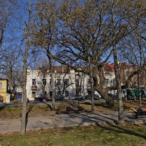 Karla Marxa Avenue, 43, Stavropol: photo