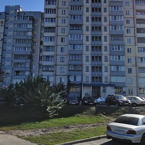 Novatoriv Street, 22В, Kyiv: photo