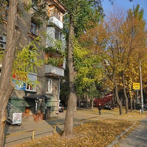 Fortechna vulytsia, 73, Zaporizhia: photo