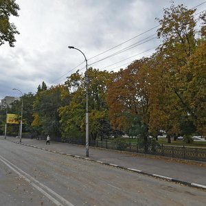 Саратов, Рабочая улица, 116: фото