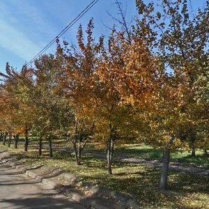 Marshala Zhukova Avenue, 108, Irkutsk: photo