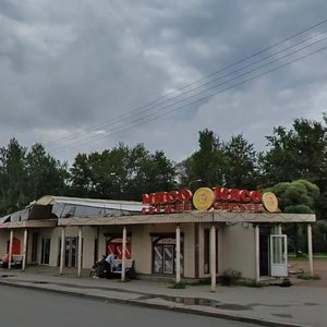 Partizana Germana Street, 38А, Saint Petersburg: photo