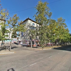 Dimitrova Street, 12, Birobidgan: photo