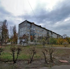 Anatoliia Solovianenka Street, 11, Kyiv: photo