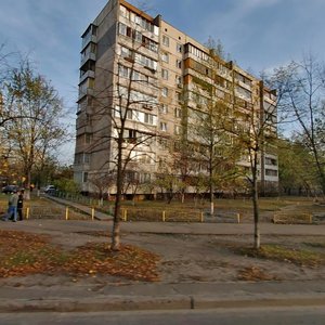 Heroiv Stalinhrada Avenue, 50, Kyiv: photo