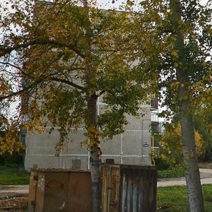 Ulitsa Frunze, 113, Bor: photo