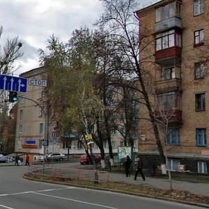 Mikhaila Boichuka Street, 6А, Kyiv: photo