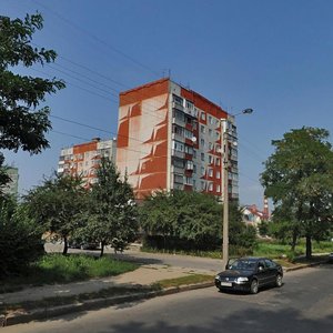 Holovna vulytsia, 285, Chernivtsi: photo