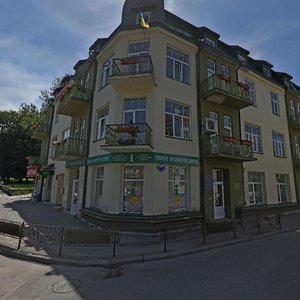 Трускавец, Бориславская улица, 1: фото