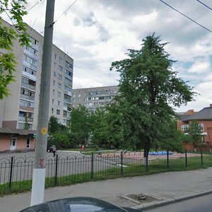 Vulytsia Pyrohova, 110, : foto