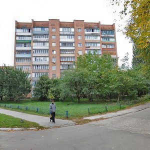 Dniprovska vulytsia, 7, Vyshhorod: photo