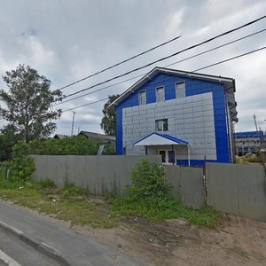 Urban-type Settlement of Bolshie Vyazyomy, 58, Moscow and Moscow Oblast: photo