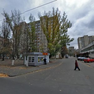 Yakuba Kolasa Street, 12, Kyiv: photo