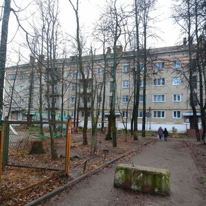 50 Let Oktyabrya Street, 8, Kolchugino: photo