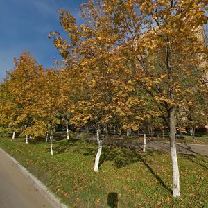 Chaykovskogo Street, 50 ، : صورة