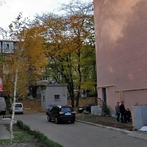 Pyrohivskyi Shliakh Street, 44А, Kyiv: photo