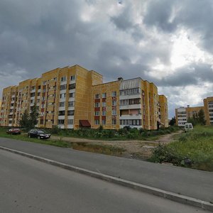 Петергоф, Бобыльская дорога, 63: фото