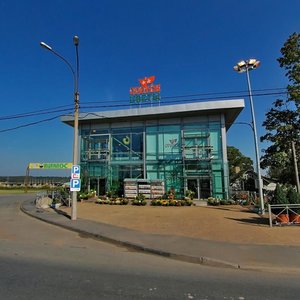 Vyborgskoe Highway, 499, Saint Petersburg: photo