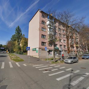 Profesora Pidvysotskoho Street, 3А, Kyiv: photo