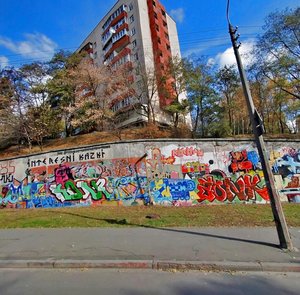 Lukianivska Street, 11, Kyiv: photo