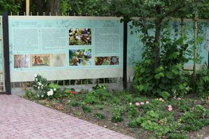 Ulitsa Dzerzhinskogo, 9, Azov: photo