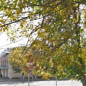 Depovskaya Street, 21, Barnaul: photo
