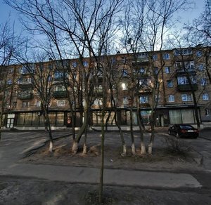 Volodymyra Salskoho Street, 11, Kyiv: photo