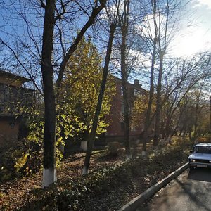 Volodi Dubinina Street, 18, Podolsk: photo