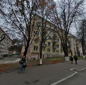 Akademika Yanhelia Street, 22, Kyiv: photo