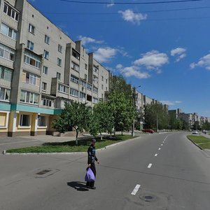 Nyzhnokholodnohirska vulytsia, 10, : foto