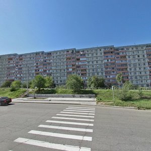 Tryokhgornaya Street, 97 ، خاباروفسك: صورة