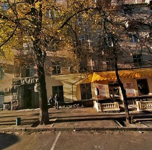 Borysa Hrinchenka Street, 4, Kyiv: photo