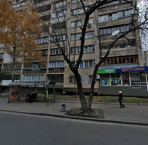 Lva Tolstoho Street, 22, Kyiv: photo