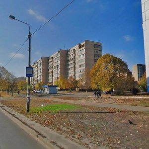 Mykoly Zakrevskoho Street, 31, Kyiv: photo