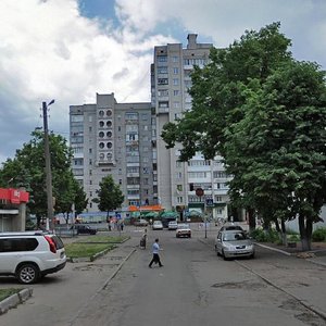 Vitruka Street, 45, Zhytomyr: photo