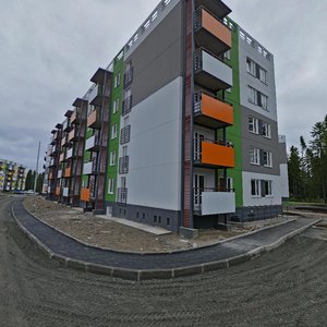 Ulitsa Sofyi Kovalevskoy, 18, Petrozavodsk: photo